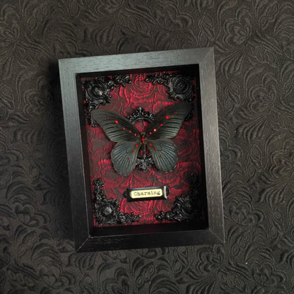 Real Butterfly Specimen Papilio memnon Art home decor Birthday Gift Gothic Home Decoration Photo Frame living room decoration