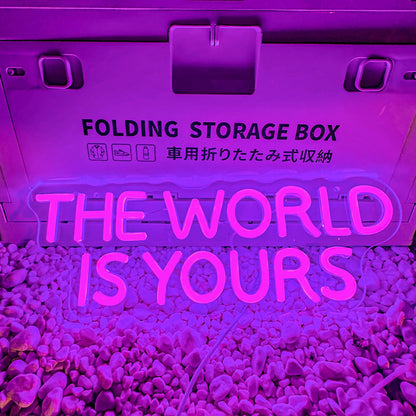 Neon Signs The World Is Yours Light Up