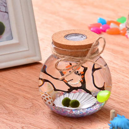 Micro Landscape Ecological Bottle Night Lights