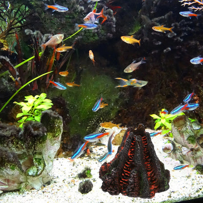 Aquarium Air Bubbling Volcanic Stone Decorations