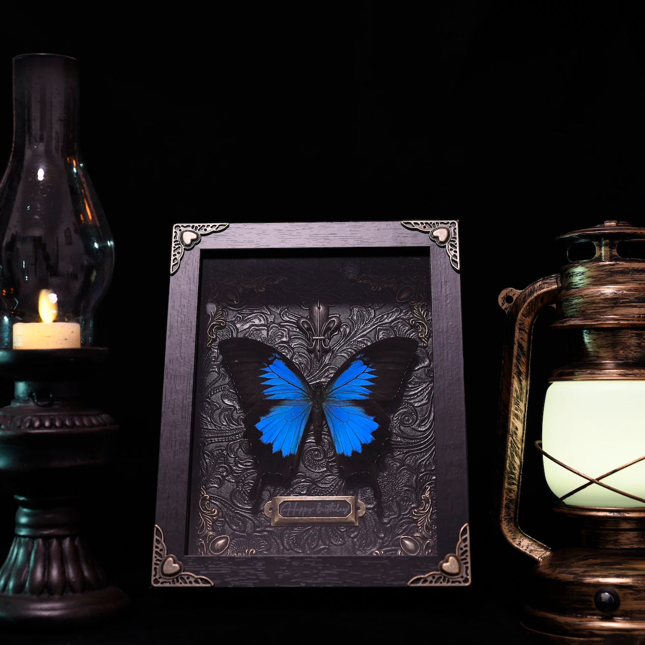 Real Butterfly Specimens Photo Frame Office