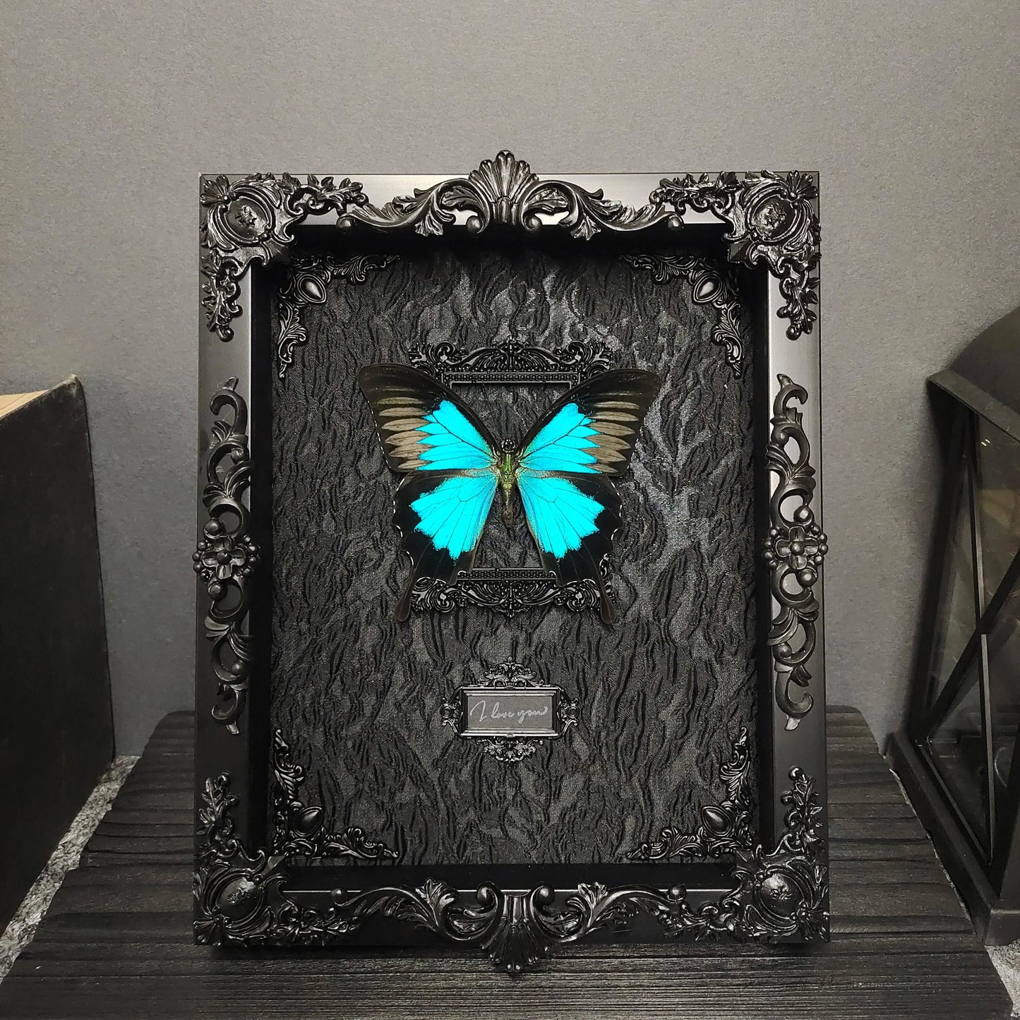 Real Butterfly Specimens Photo Frame Office