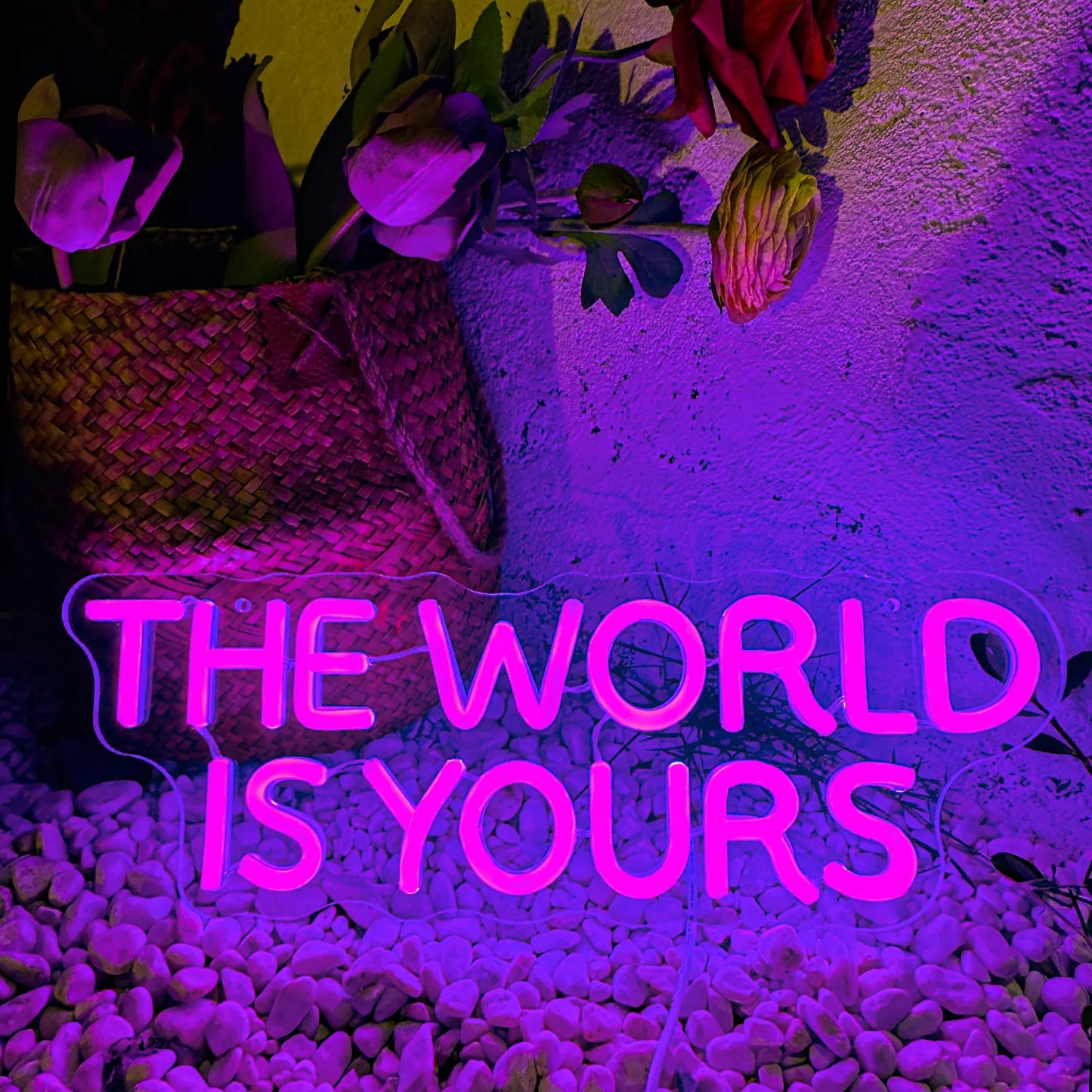 Neon Signs The World Is Yours Light Up
