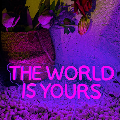 Neon Signs The World Is Yours Light Up