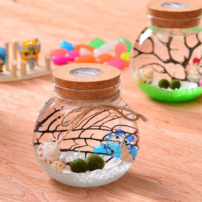 Micro Landscape Ecological Bottle Night Lights