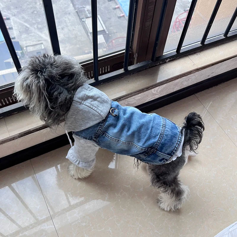 Dog Denim Jacket — Hoodie Harness Coat