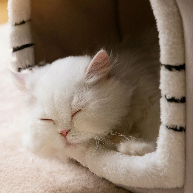 Sleeping Warm in Winter Cat Bed