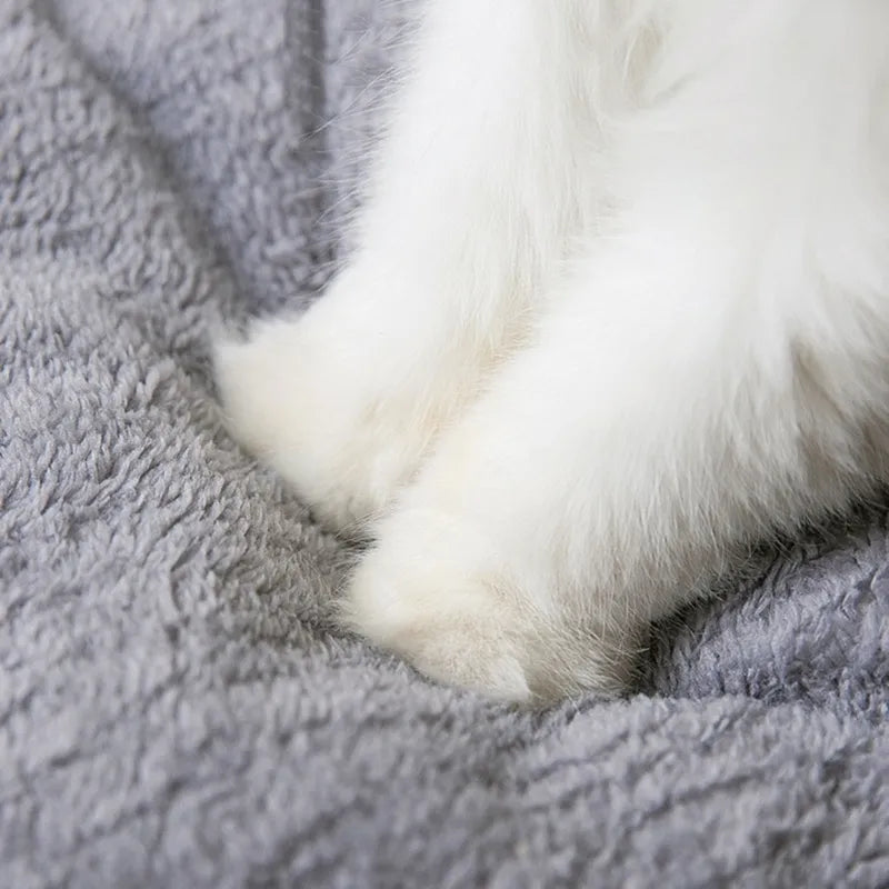 Sleeping Warm in Winter Cat Bed