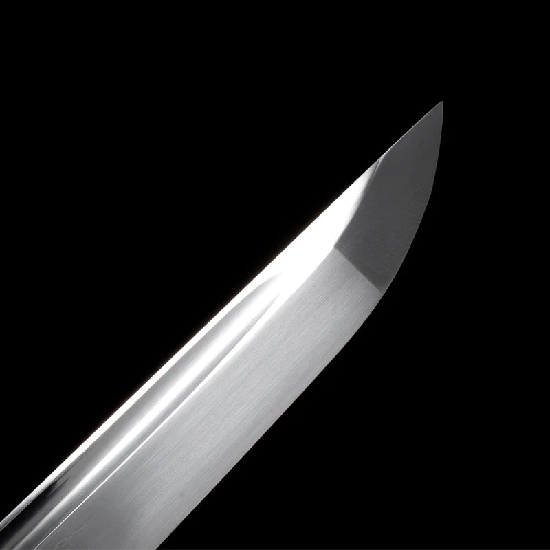 Masahiro 1045 Carbon Steel Shirasaya Tanto Sword