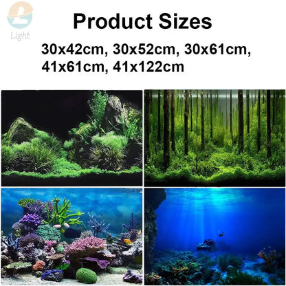 Rainforest Aquarium Background Poster