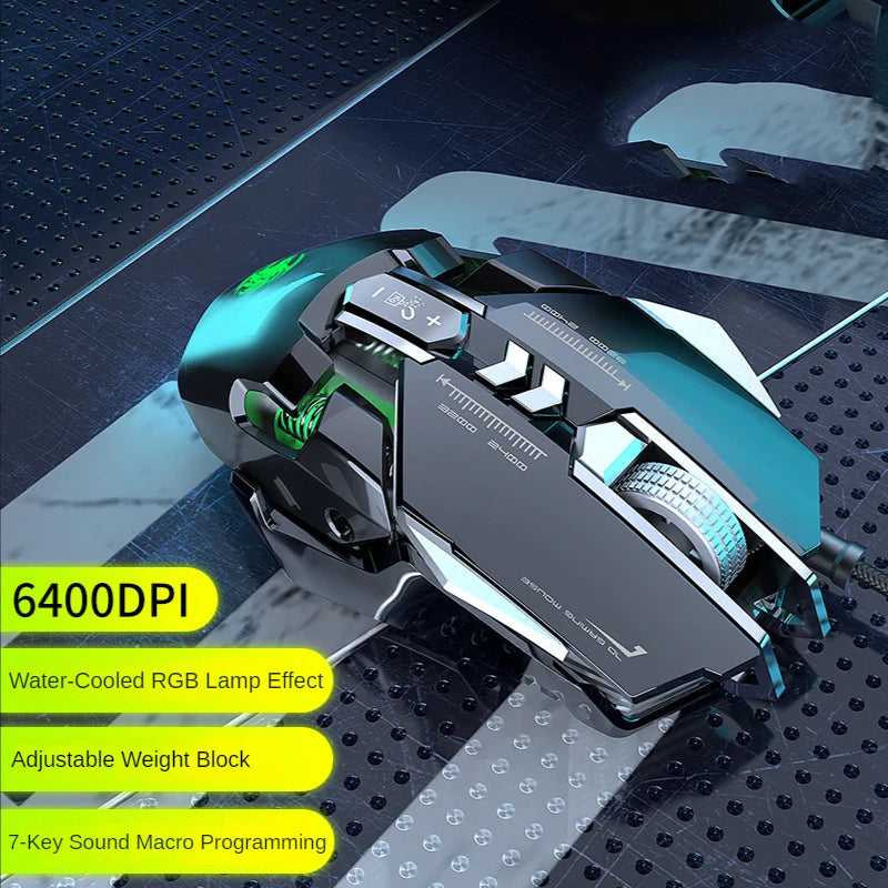 41051310030896