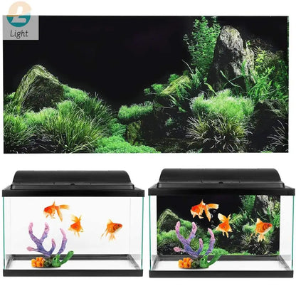 Rainforest Aquarium Background Poster