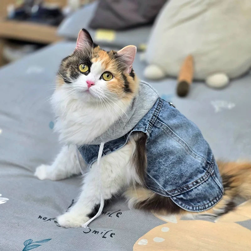 Dog Denim Jacket — Hoodie Harness Coat